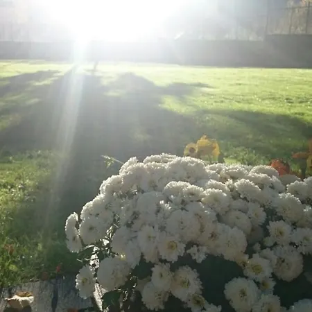 La Estibialla Casa di campagna